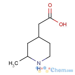 CAS No:887587-19-1 2-(2-methylpiperidin-4-yl)acetic acid