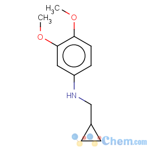 CAS No:887588-08-1 Benzenamine,N-(cyclopropylmethyl)-3,4-dimethoxy-