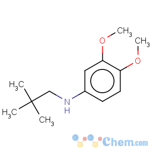 CAS No:887588-12-7 Benzenamine,N-(2,2-dimethylpropyl)-3,4-dimethoxy-