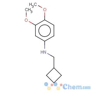 CAS No:887588-17-2 Benzenamine,N-(cyclobutylmethyl)-3,4-dimethoxy-