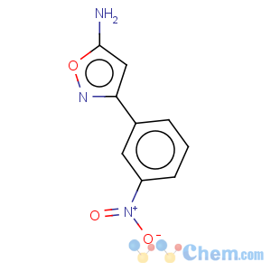 CAS No:887591-64-2 5-Isoxazolamine,3-(3-nitrophenyl)-