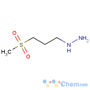 CAS No:887591-96-0 3-methylsulfonylpropylhydrazine