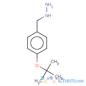 CAS No:887594-84-5 (4-tert-butoxy-benzyl)-hydrazine