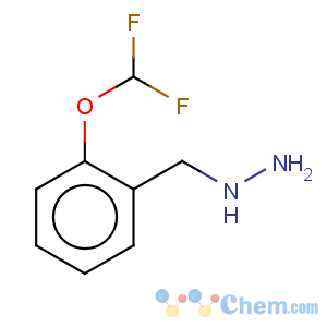 CAS No:887596-66-9 Hydrazine,[[2-(difluoromethoxy)phenyl]methyl]-
