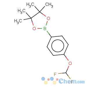 CAS No:887757-48-4 1,3,2-Dioxaborolane,2-[4-(difluoromethoxy)phenyl]-4,4,5,5-tetramethyl-