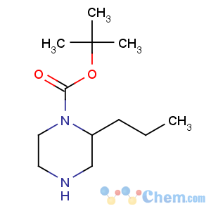 CAS No:888972-67-6 tert-butyl (2S)-2-propylpiperazine-1-carboxylate