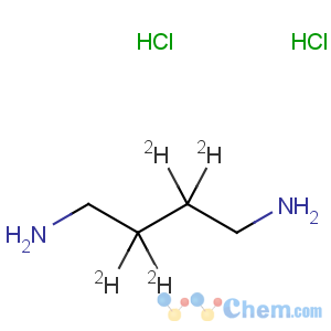 CAS No:88972-24-1 1,4-Butane-2,2,3,3-d4-diamine,dihydrochloride (9CI)