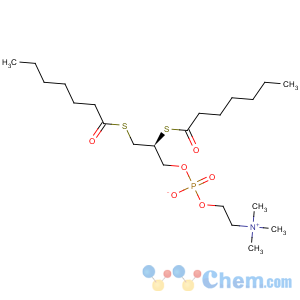 CAS No:89019-63-6 3,5-Dioxa-9-thia-4-phosphahexadecan-1-aminium,4-hydroxy-N,N,N-trimethyl-10-oxo-7-[(1-oxoheptyl)thio]-, inner salt, 4-oxide,(7S)-