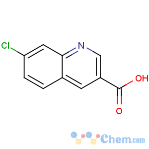 CAS No:892874-49-6 7-chloroquinoline-3-carboxylic acid