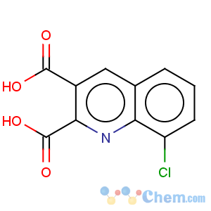 CAS No:892874-58-7 8-chloroquinoline-2,3-dicarboxylic acid