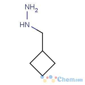CAS No:894101-37-2 Hydrazine,(cyclobutylmethyl)-