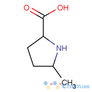 CAS No:89531-37-3 5-methylpyrrolidine-2-carboxylic acid