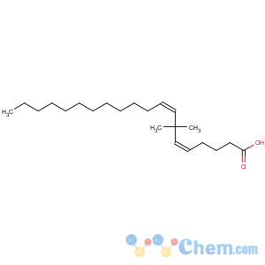 CAS No:89560-01-0 5,8-Eicosadienoic acid,7,7-dimethyl-, (5Z,8Z)-