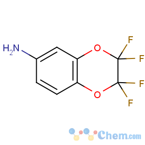 CAS No:89586-07-2 2,2,3,3-tetrafluoro-1,4-benzodioxin-6-amine