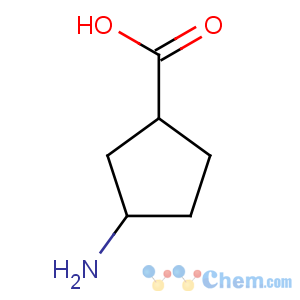 CAS No:89614-96-0 3-aminocyclopentane-1-carboxylic acid
