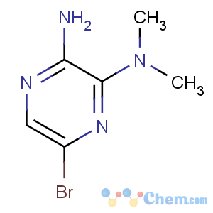 CAS No:89641-34-9 5-bromo-3-N,3-N-dimethylpyrazine-2,3-diamine