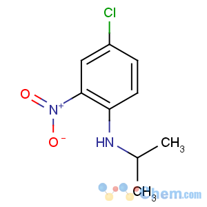 CAS No:89659-66-5 4-chloro-2-nitro-N-propan-2-ylaniline