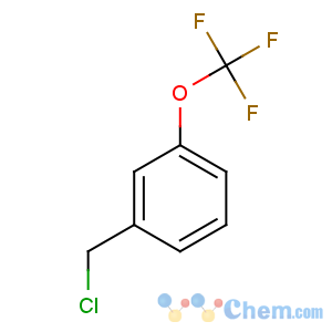 CAS No:89807-43-2 1-(chloromethyl)-3-(trifluoromethoxy)benzene