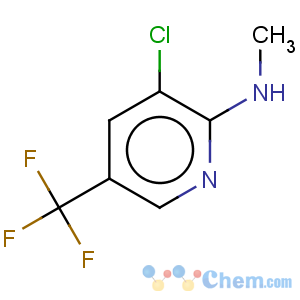 CAS No:89810-01-5 2-Pyridinamine,3-chloro-N-methyl-5-(trifluoromethyl)-