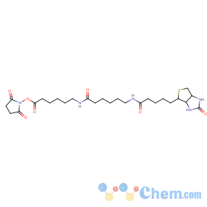 CAS No:89889-52-1 (2,5-dioxopyrrolidin-1-yl)<br />6-[6-[5-[(3aS,4S,6aR)-2-oxo-1,3,3a,4,6,6a-hexahydrothieno[3,<br />4-d]imidazol-4-yl]pentanoylamino]hexanoylamino]hexanoate