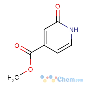CAS No:89937-77-9 methyl 2-oxo-1H-pyridine-4-carboxylate
