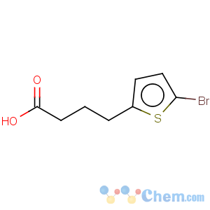 CAS No:89980-93-8 2-Thiophenebutanoicacid, 5-bromo-