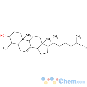 CAS No:9000-65-1 Tragacanth gum