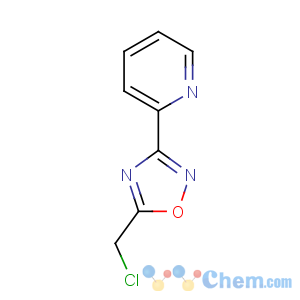 CAS No:90002-06-5 5-(chloromethyl)-3-pyridin-2-yl-1,2,4-oxadiazole