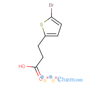 CAS No:900027-23-8 3-(5-bromothiophen-2-yl)propanoic acid