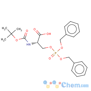 CAS No:90013-45-9 L-Serine,N-[(1,1-dimethylethoxy)carbonyl]-, bis(phenylmethyl) phosphate (ester) (9CI)
