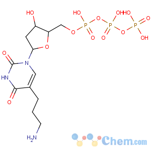 CAS No:90015-82-0 [[(2R,3S,5R)-5-[5-(3-aminopropyl)-2,<br />4-dioxopyrimidin-1-yl]-3-hydroxyoxolan-2-yl]methoxy-hydroxyphosphoryl]<br />phosphono hydrogen phosphate