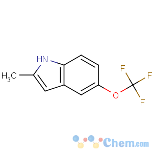 CAS No:900182-99-2 2-methyl-5-(trifluoromethoxy)-1H-indole