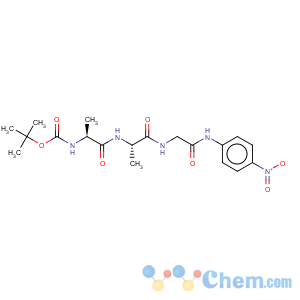 CAS No:90037-94-8 Glycinamide,N-[(1,1-dimethylethoxy)carbonyl]-L-alanyl-L-alanyl-N-(4-nitrophenyl)- (9CI)