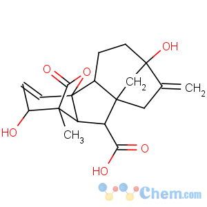 CAS No:90045-36-6 Ginkgo biloba extract