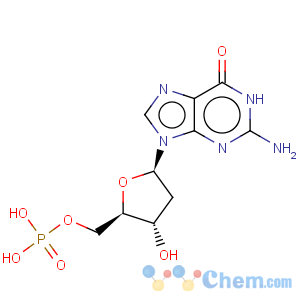 CAS No:902-04-5 5'-Guanylic acid,2'-deoxy-
