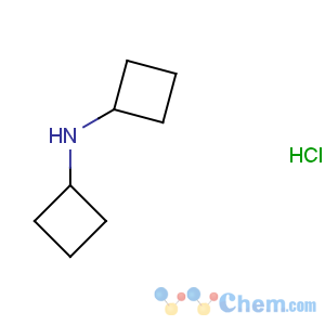 CAS No:90203-81-9 N-cyclobutylcyclobutanamine hydrochloride (1:1)