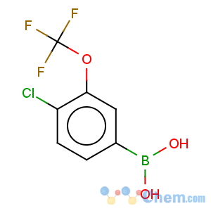 CAS No:902757-07-7 Boronic acid, [4-chloro-3-(trifluoromethoxy)phenyl]-