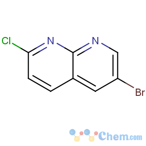 CAS No:902837-40-5 6-bromo-2-chloro-1,8-naphthyridine