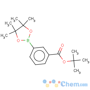 CAS No:903895-48-7 3-tert-butoxycarbonylphenylboronic acid pinacol ester