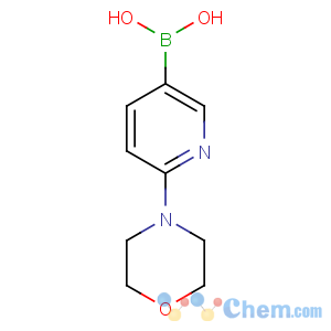 CAS No:904326-93-8 (6-morpholin-4-ylpyridin-3-yl)boronic acid