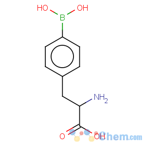 CAS No:90580-64-6 Phenylalanine,4-borono-