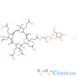 CAS No:9064-67-9 Collagen