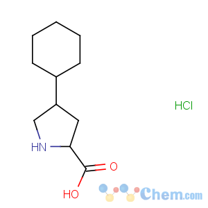 CAS No:90657-55-9 (2S,4S)-4-cyclohexylpyrrolidine-2-carboxylic acid