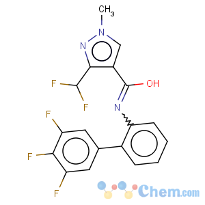 CAS No:907204-31-3 3-(difluoromethyl)-1-methyl-N-(3',4',5'-trifluorobiphenyl-2-yl)-1H-pyrazole-4-carboxamide