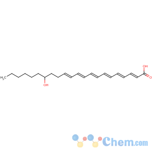 CAS No:90780-51-1 4,7,10,13,17,19-Docosahexaenoicacid, 16-hydroxy-, (4Z,7Z,10Z,13Z,17E,19Z)-