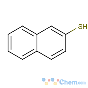 CAS No:91-60-1 naphthalene-2-thiol