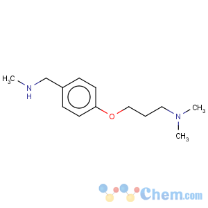 CAS No:910037-04-6 Benzenemethanamine, 4-[3-(dimethylamino)propoxy]-N-methyl-