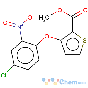 CAS No:91041-13-3 2-Thiophenecarboxylicacid, 3-(4-chloro-2-nitrophenoxy)-, methyl ester