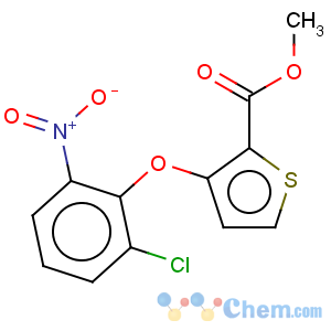 CAS No:91041-19-9 2-Thiophenecarboxylicacid, 3-(2-chloro-6-nitrophenoxy)-, methyl ester