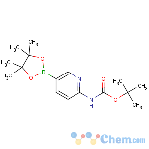 CAS No:910462-31-6 tert-butyl<br />N-[5-(4,4,5,5-tetramethyl-1,3,2-dioxaborolan-2-yl)pyridin-2-yl]carbamate